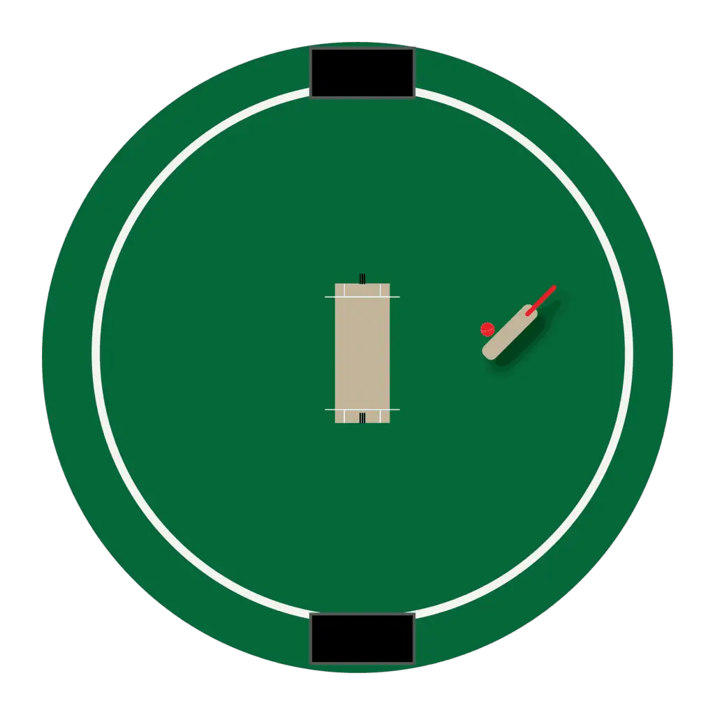 How to Play Cricket?
