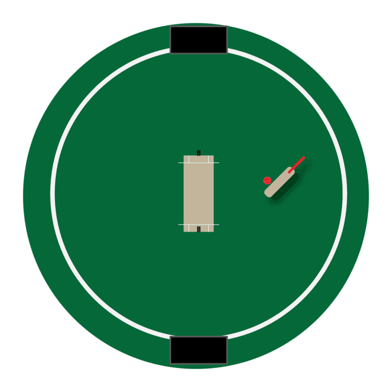 How to Play Cricket?