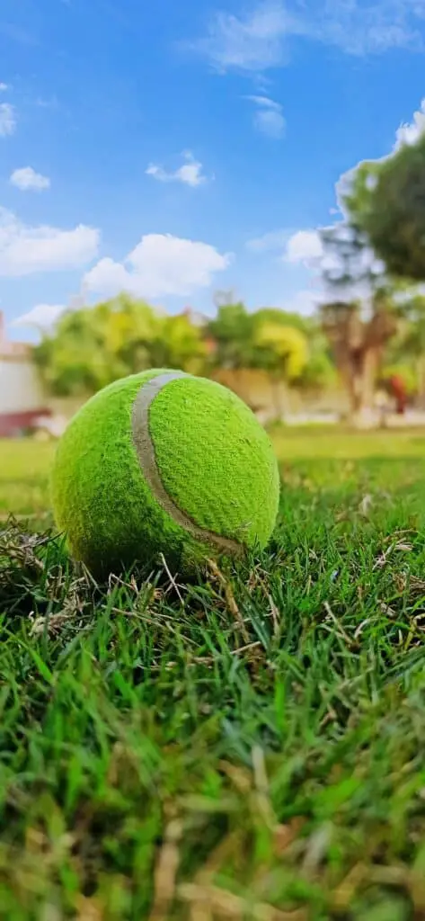 Tennis ball Cricket Ground