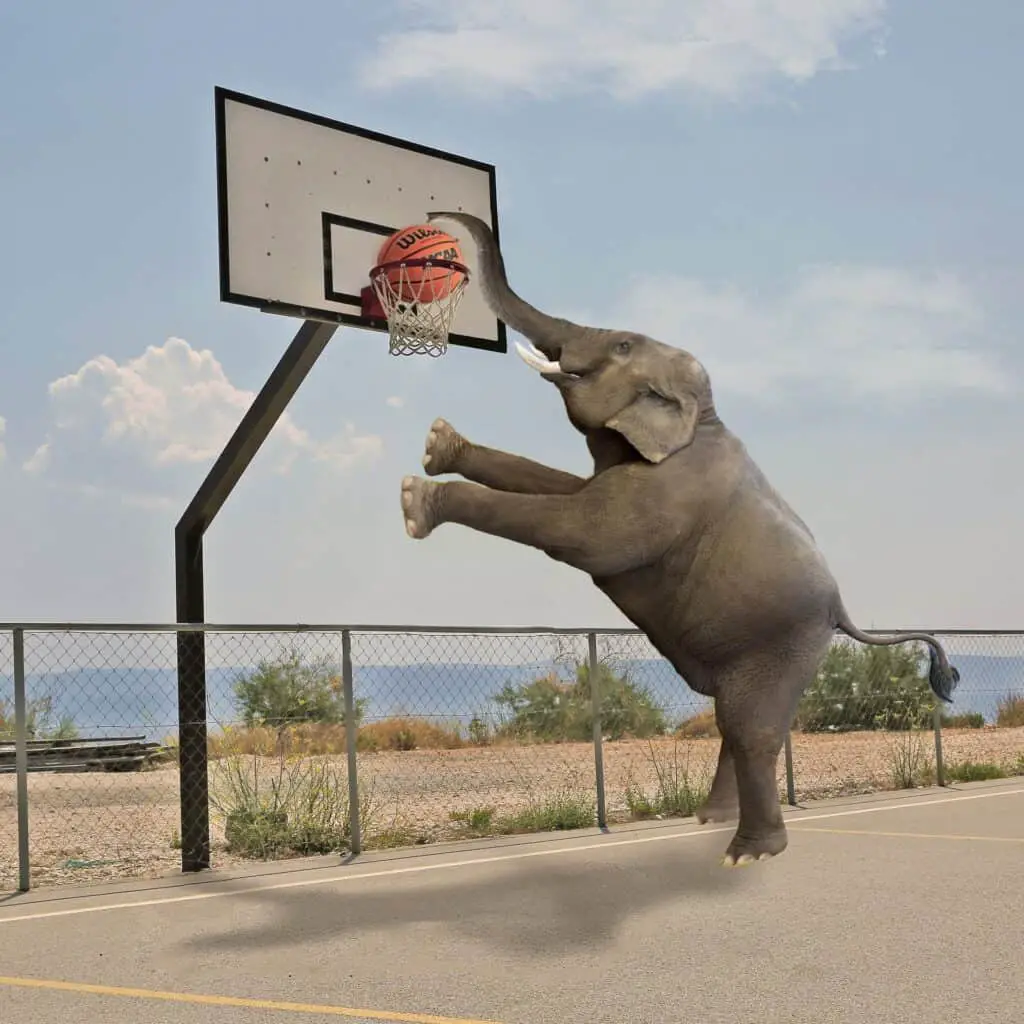 Basketball Violation