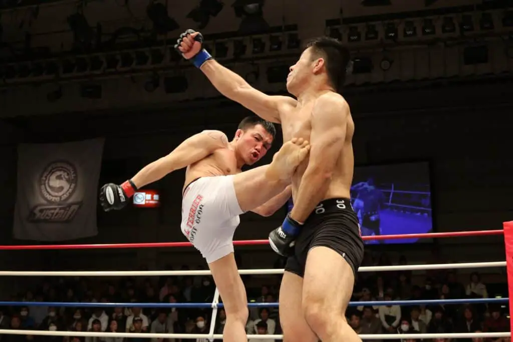 MMA kick